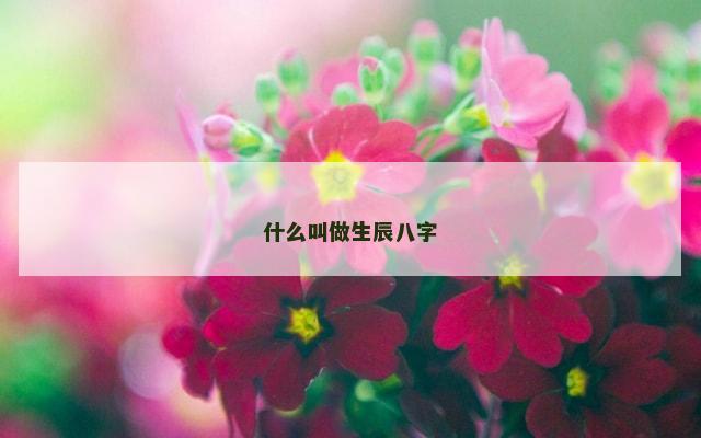 什么叫做生辰八字