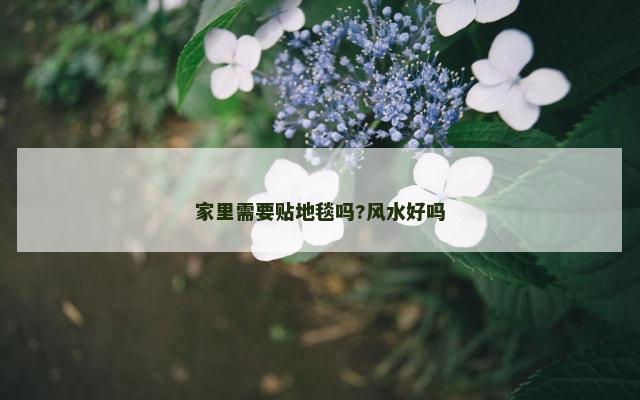 家里需要贴地毯吗?风水好吗
