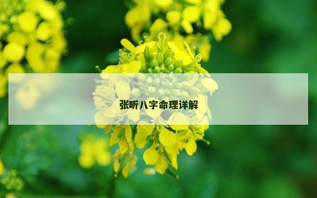 张昕八字命理详解