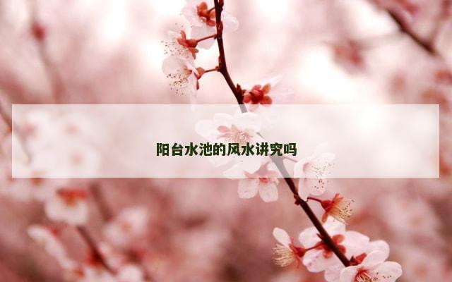 阳台水池的风水讲究吗