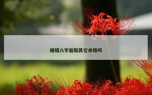 破格八字能取其它命格吗