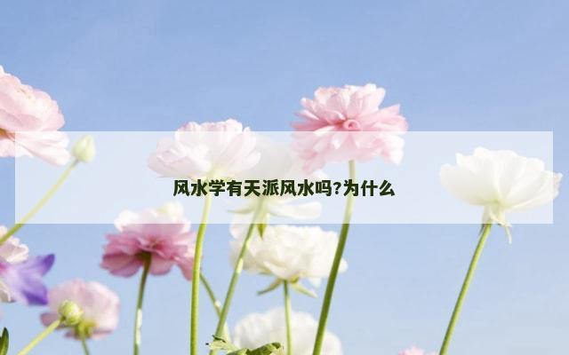 风水学有天派风水吗?为什么