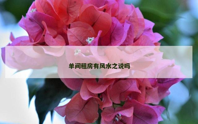 单间租房有风水之说吗