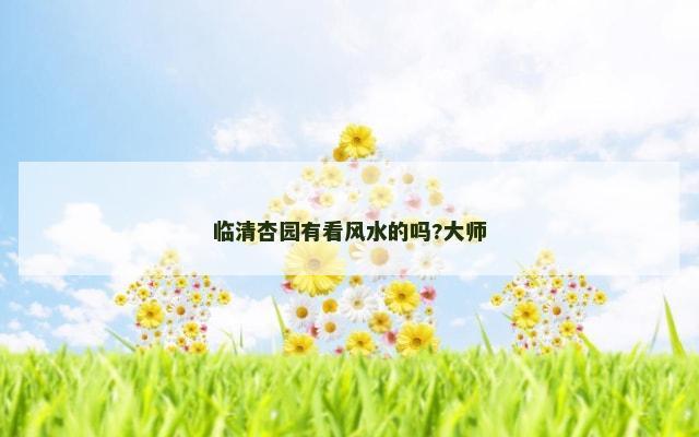 临清杏园有看风水的吗?大师