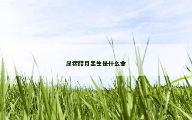 属猪腊月出生是什么命