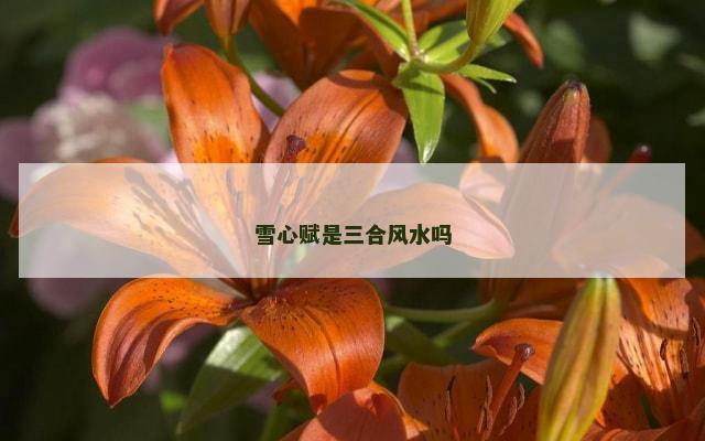 雪心赋是三合风水吗