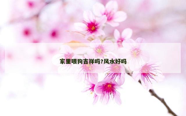 家里喂狗吉祥吗?风水好吗