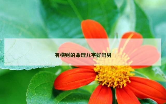 有横财的命理八字好吗男