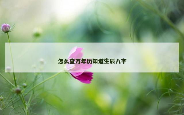 怎么查万年历知道生辰八字