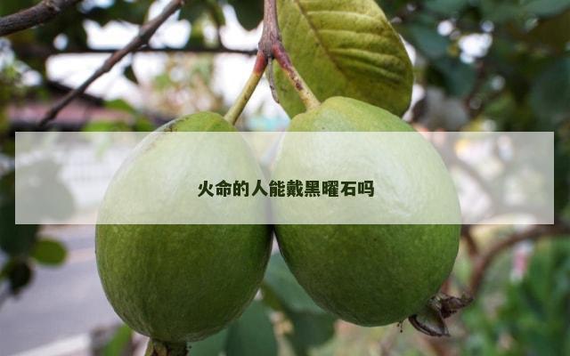 火命的人能戴黑曜石吗