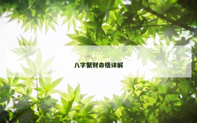 八字聚财命格详解