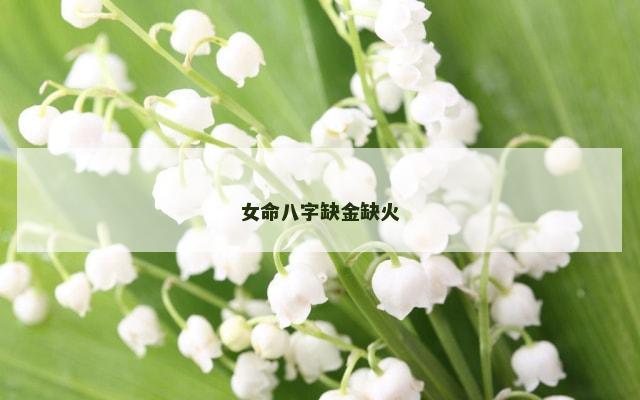 女命八字缺金缺火