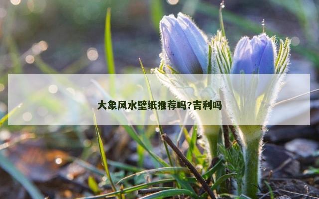 大象风水壁纸推荐吗?吉利吗