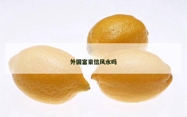 外国富豪信风水吗