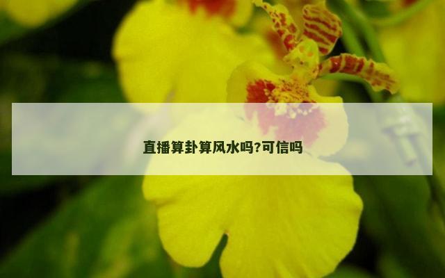 直播算卦算风水吗?可信吗