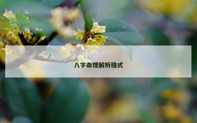 八字命理解析格式