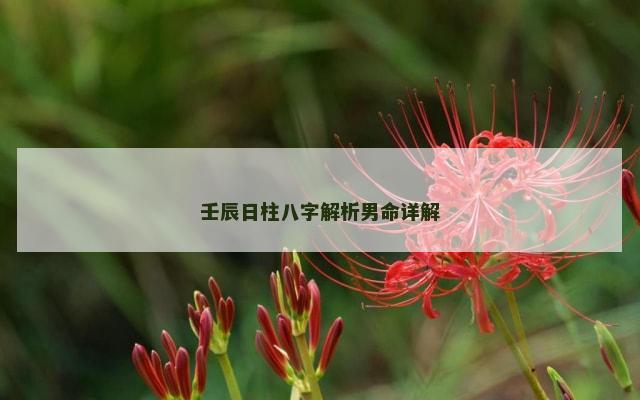 壬辰日柱八字解析男命详解