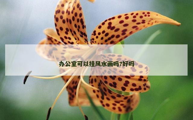 办公室可以挂风水画吗?好吗