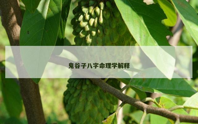 鬼谷子八字命理学解释