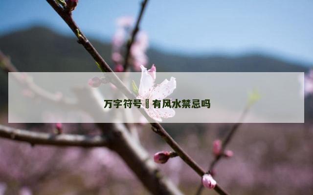 万字符号卍有风水禁忌吗