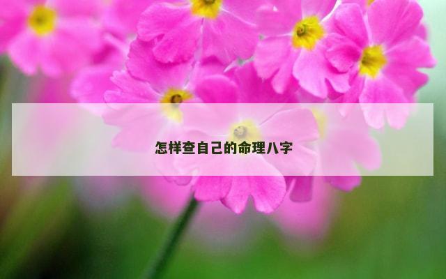 怎样查自己的命理八字