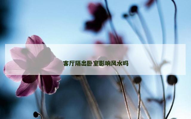 客厅隔出卧室影响风水吗