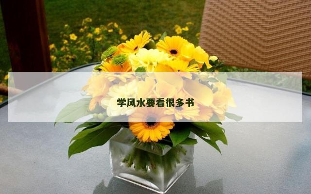 学风水要看很多书