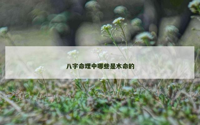 八字命理中哪些是木命的