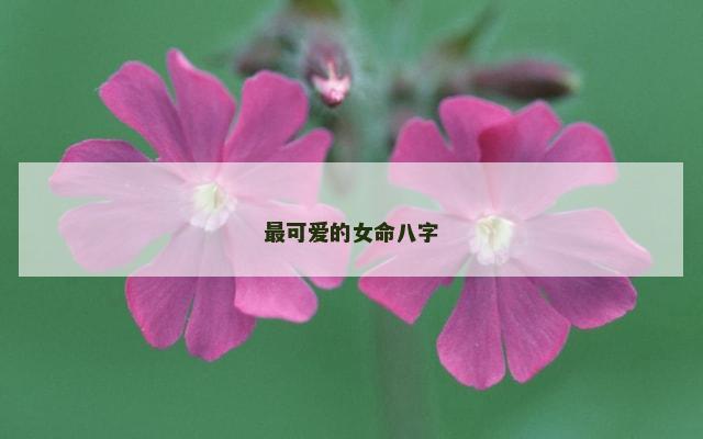 最可爱的女命八字