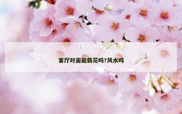 客厅对面能栽花吗?风水吗