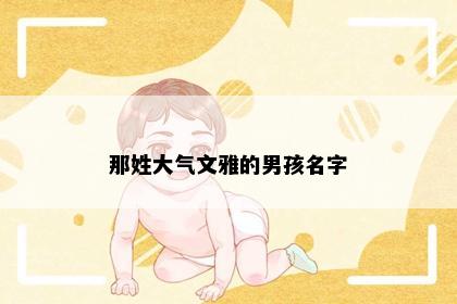 那姓大气文雅的男孩名字