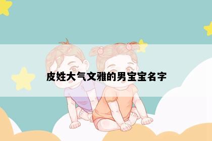 皮姓大气文雅的男宝宝名字