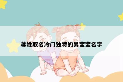 蒋姓取名冷门独特的男宝宝名字
