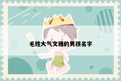 毛姓大气文雅的男孩名字