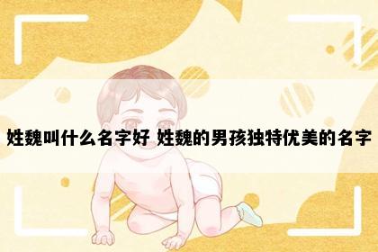 姓魏叫什么名字好 姓魏的男孩独特优美的名字