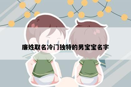 廉姓取名冷门独特的男宝宝名字
