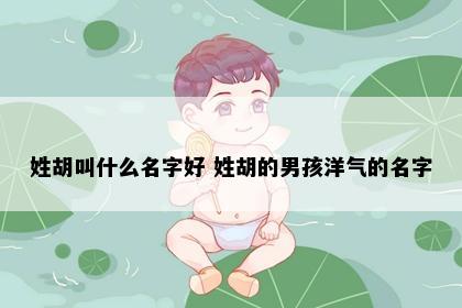 姓胡叫什么名字好 姓胡的男孩洋气的名字