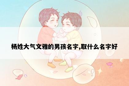 杨姓大气文雅的男孩名字,取什么名字好