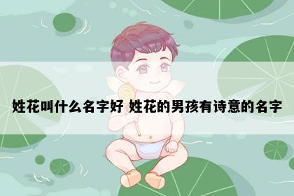 姓花叫什么名字好 姓花的男孩有诗意的名字