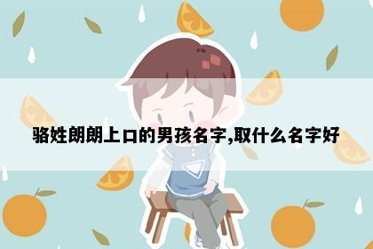 骆姓朗朗上口的男孩名字,取什么名字好