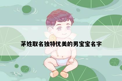 茅姓取名独特优美的男宝宝名字