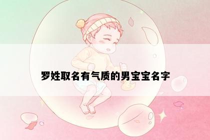 罗姓取名有气质的男宝宝名字