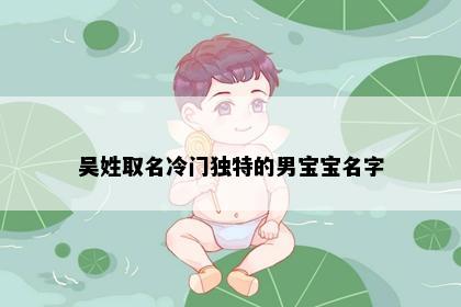 吴姓取名冷门独特的男宝宝名字
