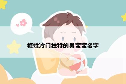 梅姓冷门独特的男宝宝名字