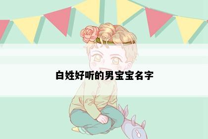 白姓好听的男宝宝名字