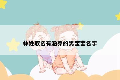 林姓取名有涵养的男宝宝名字