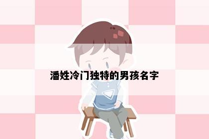 潘姓冷门独特的男孩名字