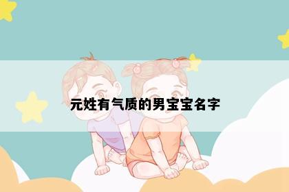 元姓有气质的男宝宝名字