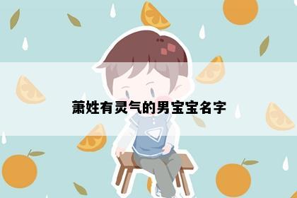 萧姓有灵气的男宝宝名字