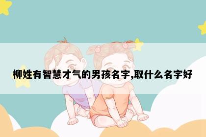 柳姓有智慧才气的男孩名字,取什么名字好